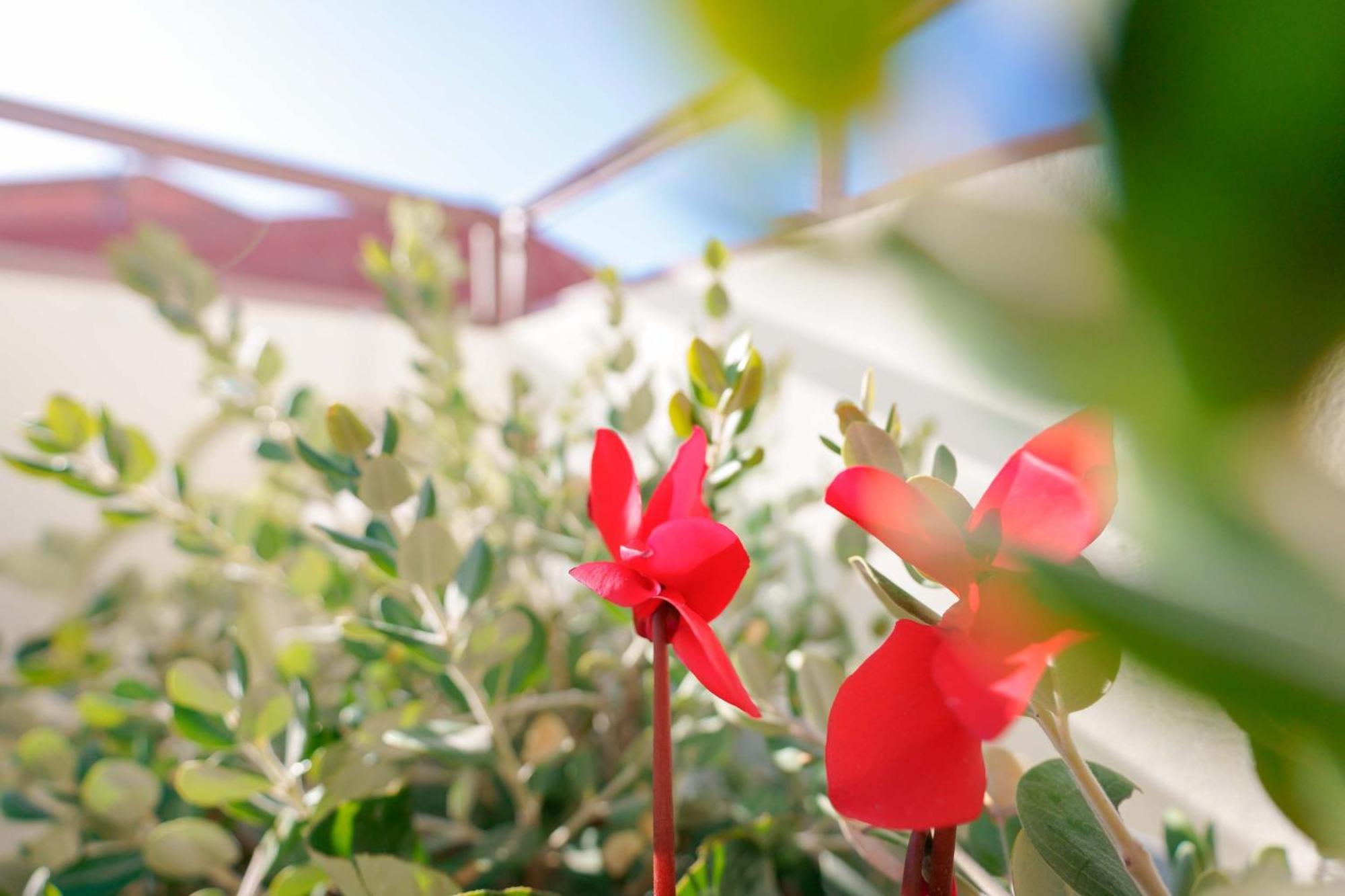 Bed & Breakfast Deidda - Ts San Sperate